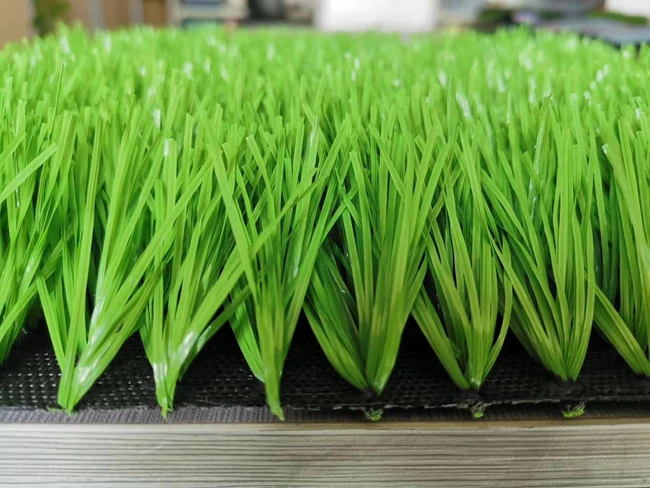 _202008270900496 _202008270900496